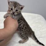 Screen-Shot-2026-01-05-at-1.30.25-AM-768×833