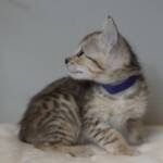 Screen-Shot-2026-01-16-at-1.25.58-AM-768×707