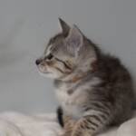 Screen-Shot-2026-01-16-at-1.28.42-AM-768×579