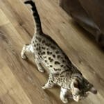 24022996-b6ef-4915-96e9-98ba215dfd82