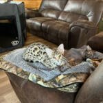 4550a1c1-0b7b-4b09-ab85-2e5cf9bb8bd9