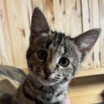 596bd50d-ed26-467f-902f-c1383e97a188