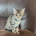 5d780cca-acc8-4af5-9811-9e2e74d4f96c