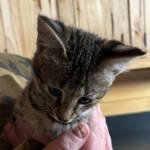 5ec5d5c1-b6f2-43fb-9620-3d234659c1c6