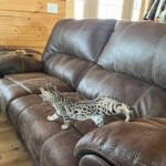 7fb1d462-589c-4bf9-b1e3-10d437ba217b